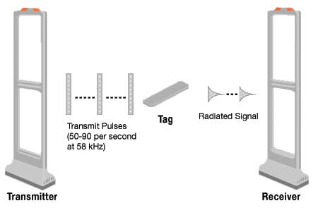 Acousto-magnetic System