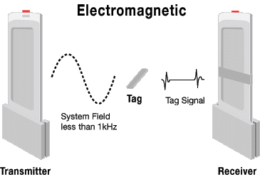 Electromagnetic System